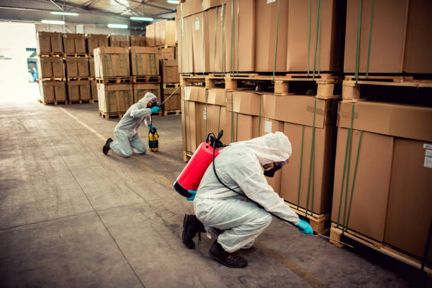 Best Best Pest Control Companies  in Sturgis, MI