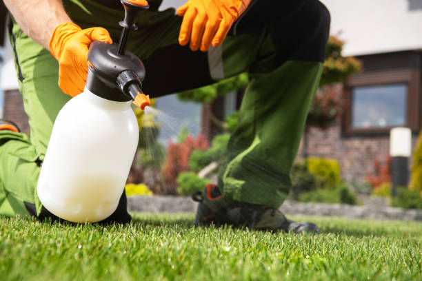 Best Wildlife Control Services  in Sturgis, MI