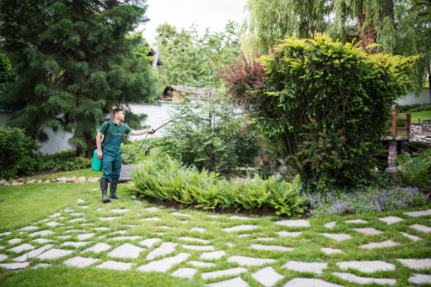 Trusted Sturgis, MI Pest Control Experts
