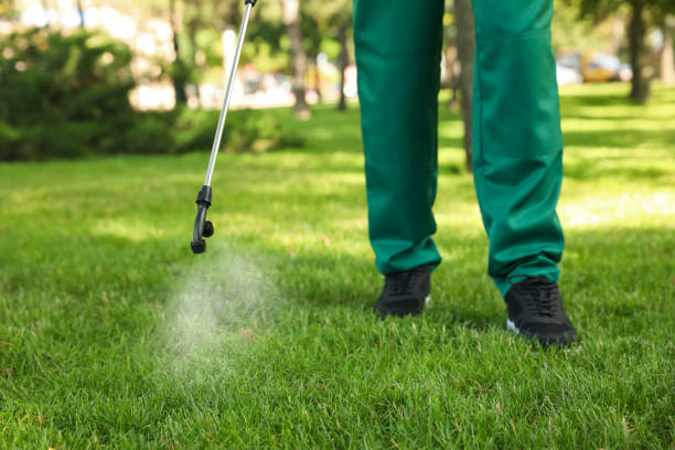 Best Affordable Pest Control Services  in Sturgis, MI