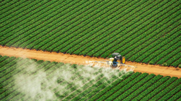 Best Termite Control Services  in Sturgis, MI