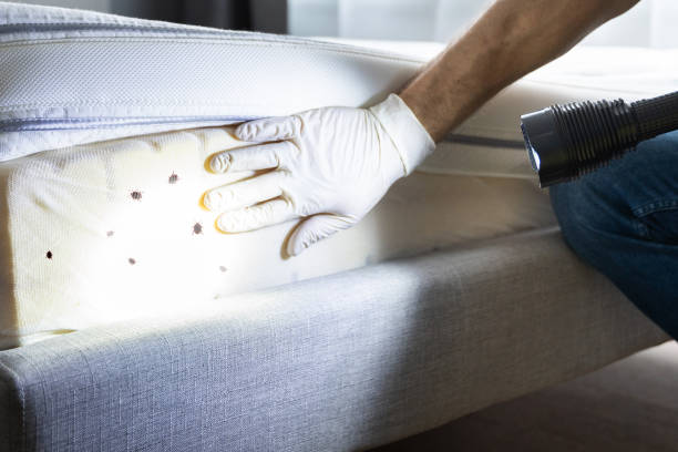 Best Mosquito Control Services  in Sturgis, MI