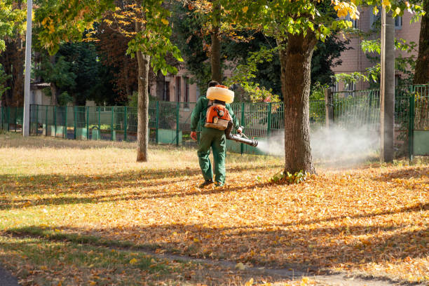 Best Wasp Removal Services  in Sturgis, MI