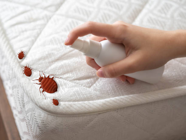 Best Pest Control Near Me in Sturgis, MI