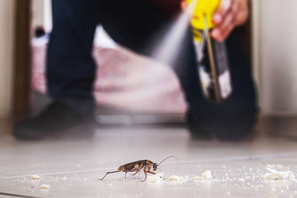 Best Exterminator Services  in Sturgis, MI