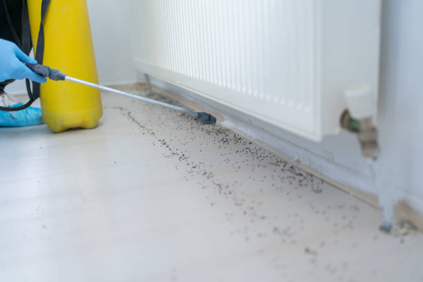 Best Pest Control for Homes  in Sturgis, MI